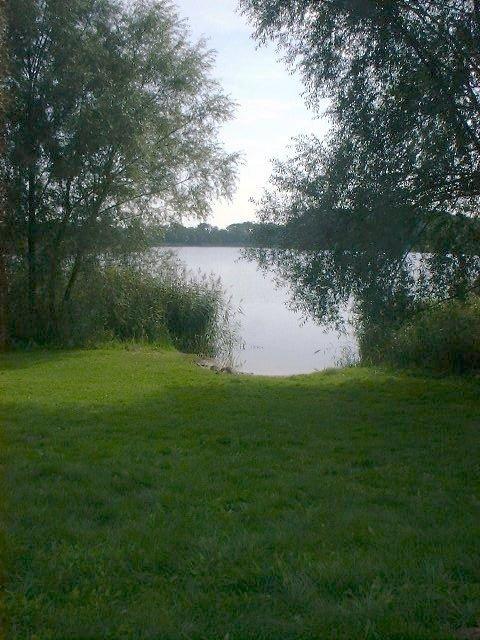 DSCF0002.JPG.jpg.jpg