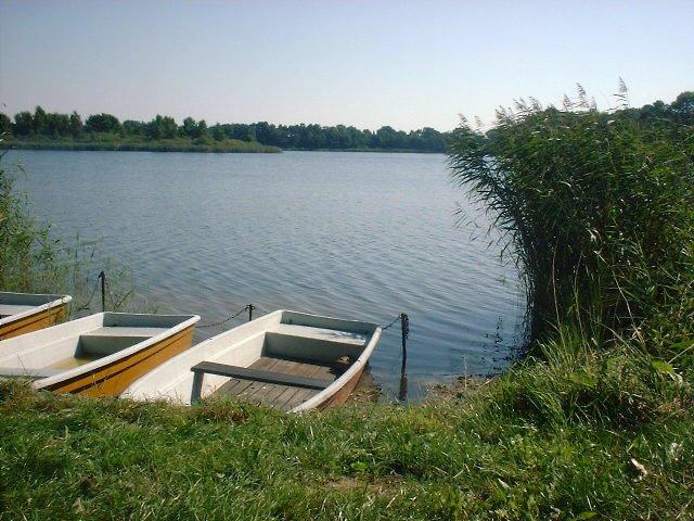 DSCF0010.JPG.jpg.jpg